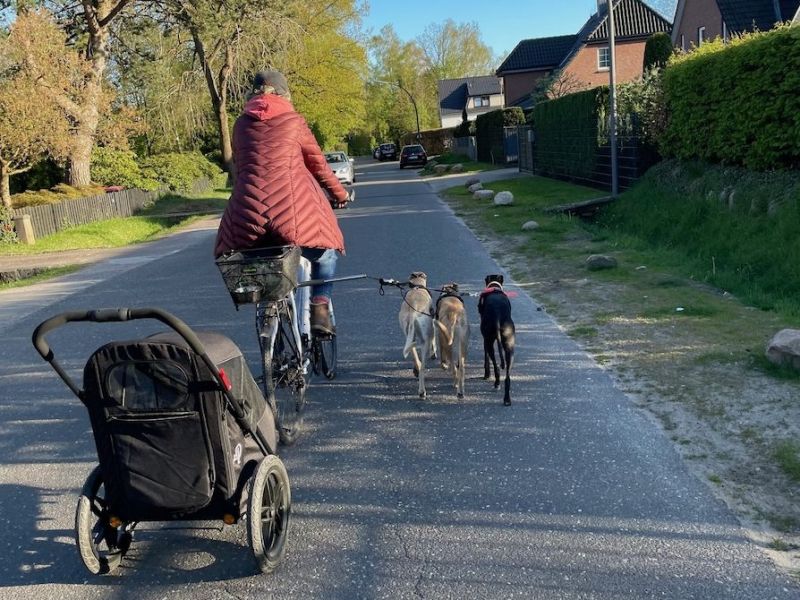 Fahrradfahren mit Hund