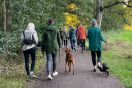 Dog Dating