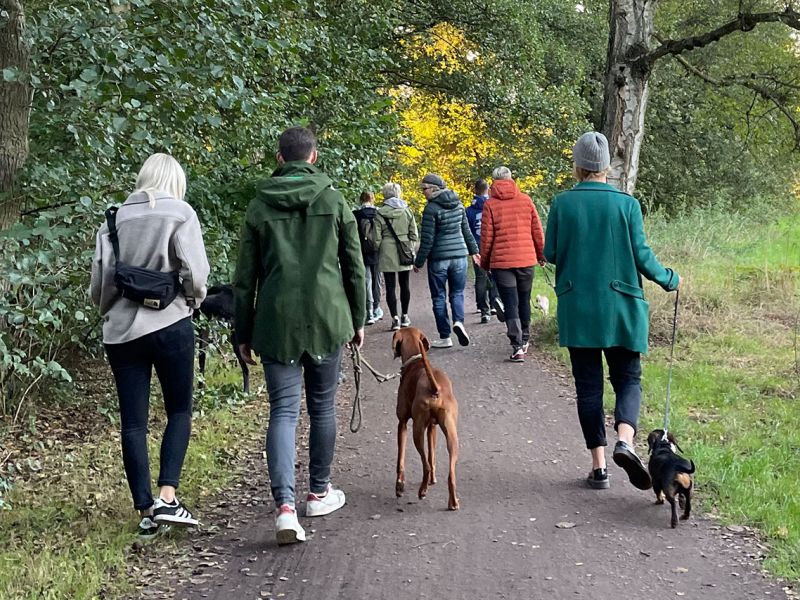 Trainingsspaziergang