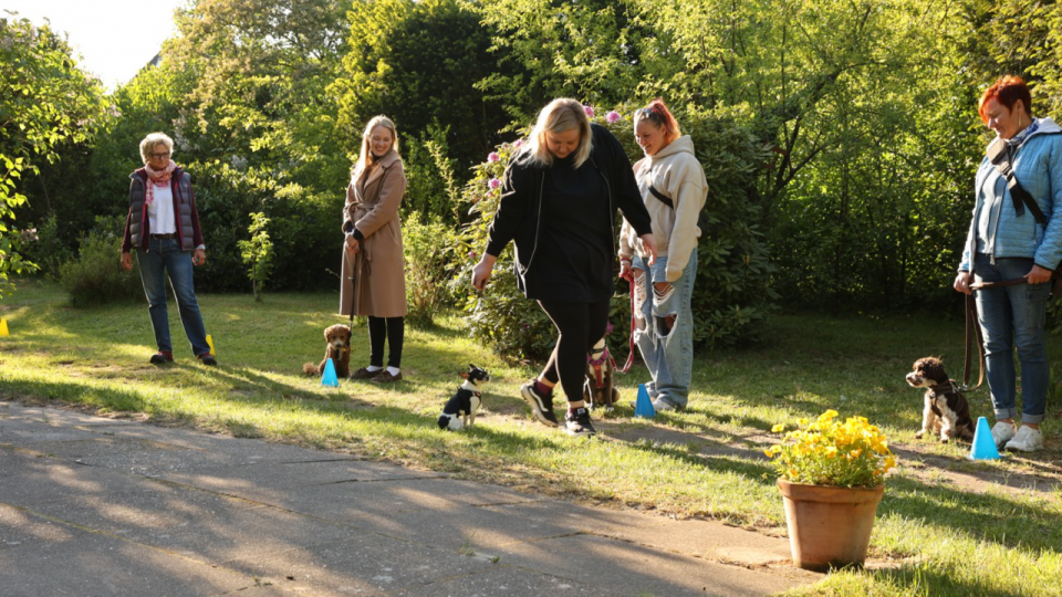 Die Ramelöwin - Junghundeschule Hamburg - 3