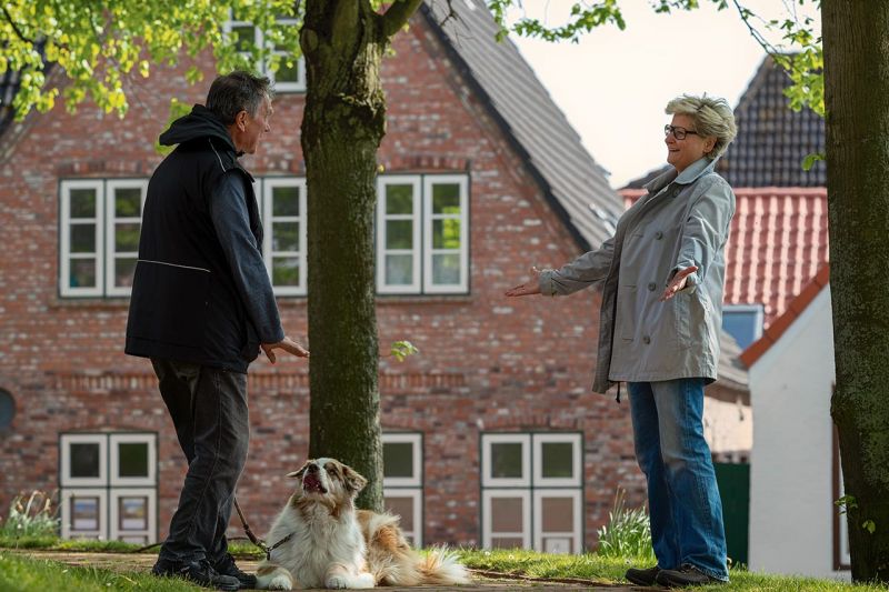 Hundetraining - Lösung