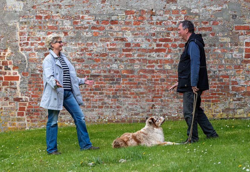 Hundetraining - Workshops