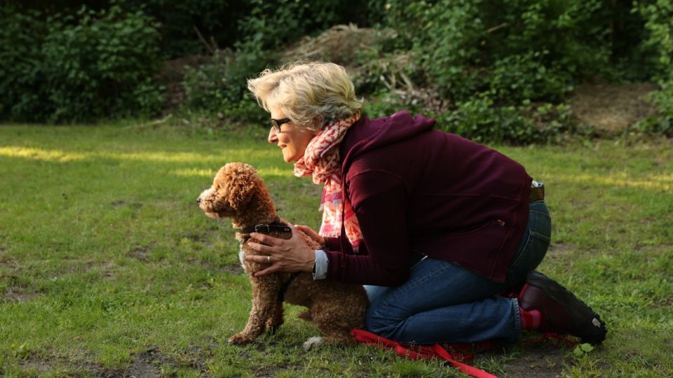 Die Ramelöwin - Junghundeschule Hamburg - 3
