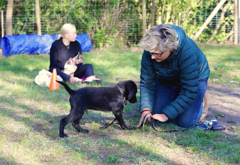 Familie mit Hund