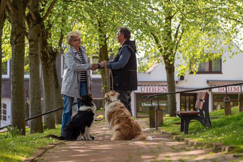 Hundetraining - Ziel
