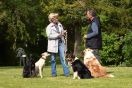 Hundetraining für Hund & Mensch