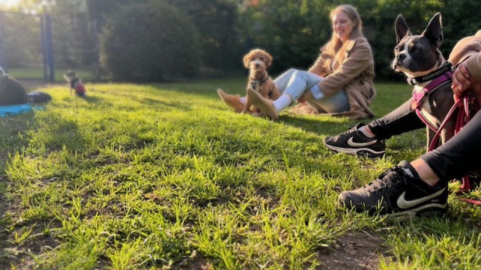 Die Ramelöwin - Junghundeschule Hamburg - 2