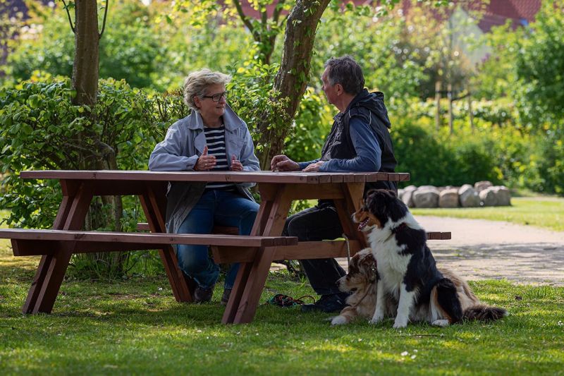 Hundetraining - Ansatz