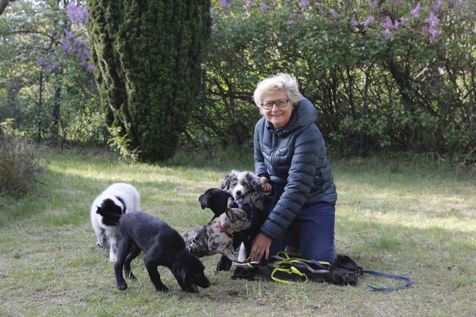 Welpenschule - Ramelöwin - Welpenschar mit Hundetrainerin