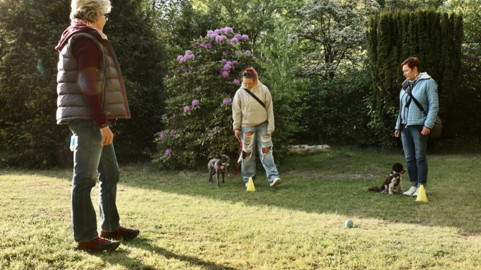 Die Ramelöwin - Junghundeschule Hamburg - 3