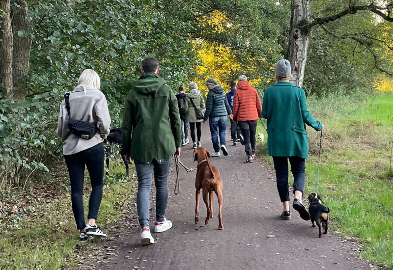 Trainingsspaziergang