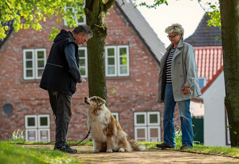 Hundetraining - Verhaltensberatung